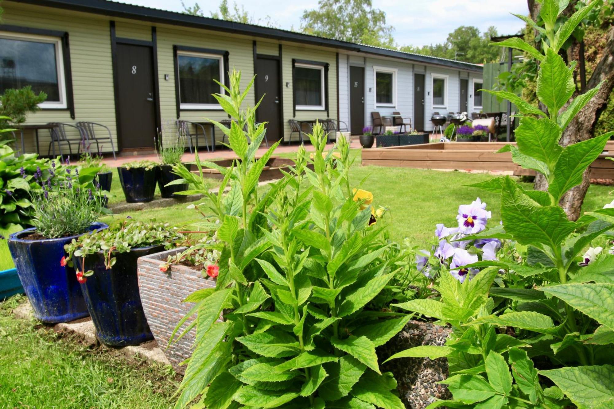 Guesthouse Maenniku Pärnu Kültér fotó