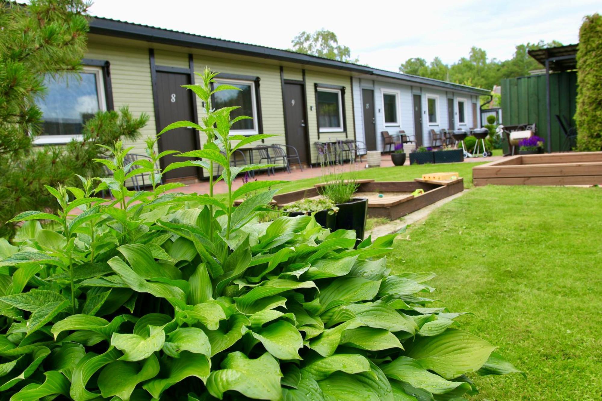 Guesthouse Maenniku Pärnu Kültér fotó